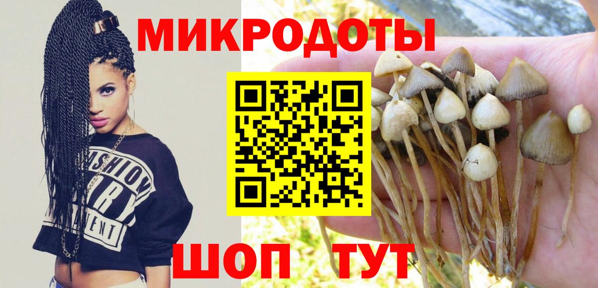 Псилоцибиновые грибы прущие грибы  Галлюциногенные грибы мицелий  Вход с VPN  Владимир 